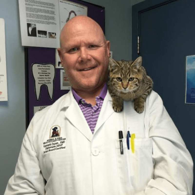 Dr. Kenneth Dazen with cat at Animal & Bird Health Care Center