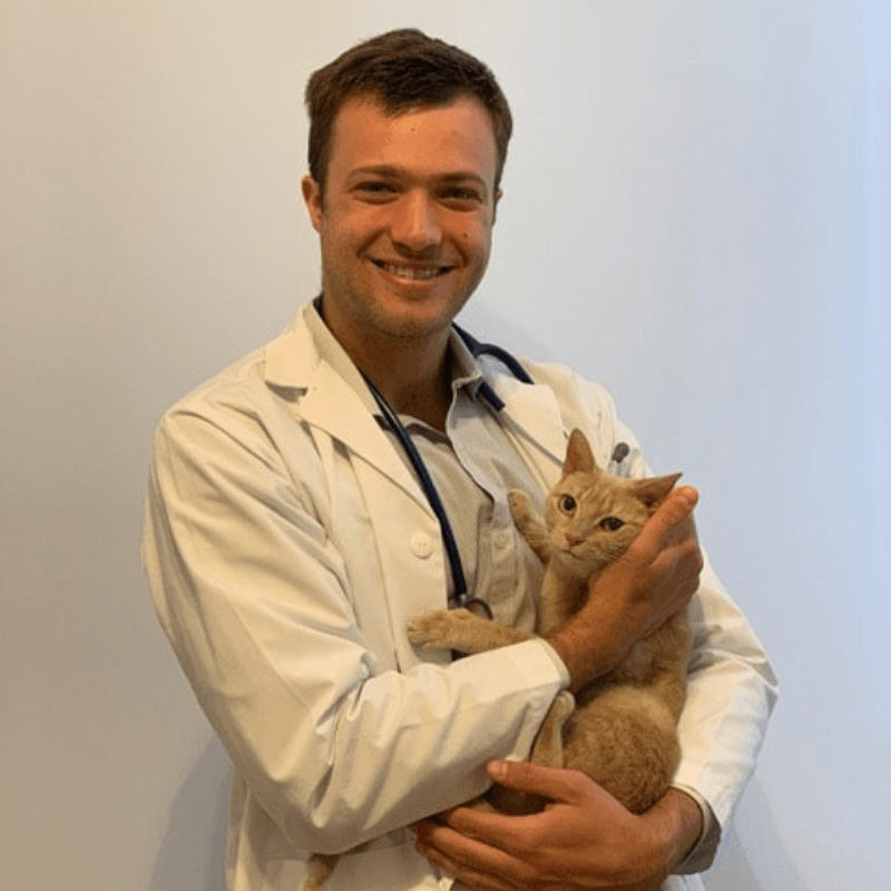 Dr. Stefan Gallini at Animal & Bird Health Care Center