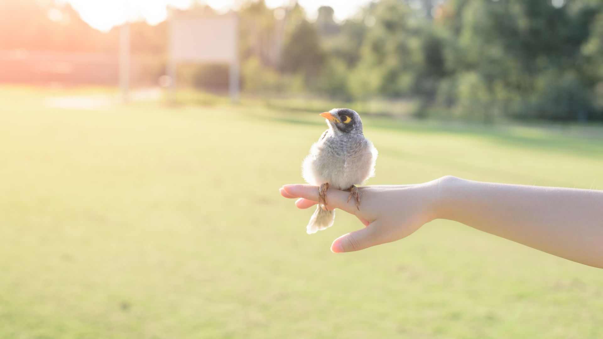 Animal And Bird Health Care Center Pet Memorials Vet Clinic In Cherry Hill, NJ 08003
